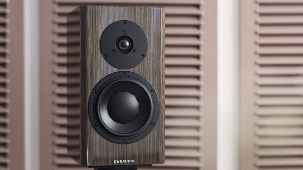 dynaudio 40 special
